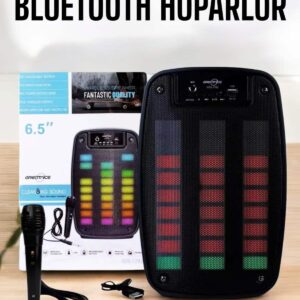 Kablosuz Bluetooth Hoparlör Taşınabilir 6.5 inç LED Işık Kareoke