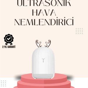 USB Şarjlı Mini USB Nemlendirici LED Işıklı Masaüstü Cihaz