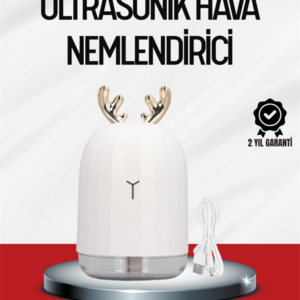 El Tipi USB Mini Soğuk Mist Nemlendirici 220 ml Tank