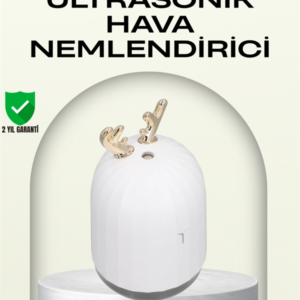 ABS+PP Malzemeli Taşınabilir 220 ml USB Mist Nemlendirici