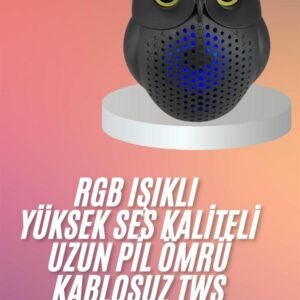 Müzik Çalar Bluetooth Hoparlör Speaker 5.0 Kablosuz Baykuş Görünümlü